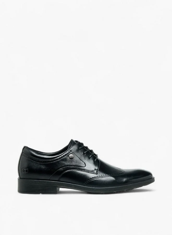 DUCHINI Men Lace-Up Leather Derby Shoes